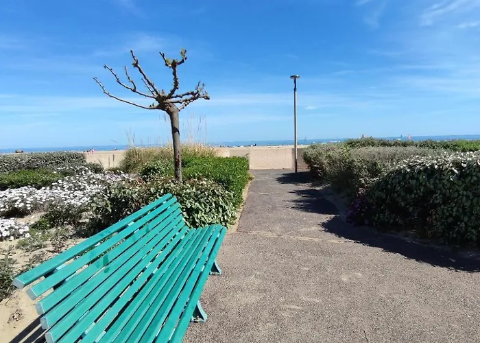 Les Pieds Dans L\'Eau Aux Mers Du Sud - Gruissan Les Ayguades