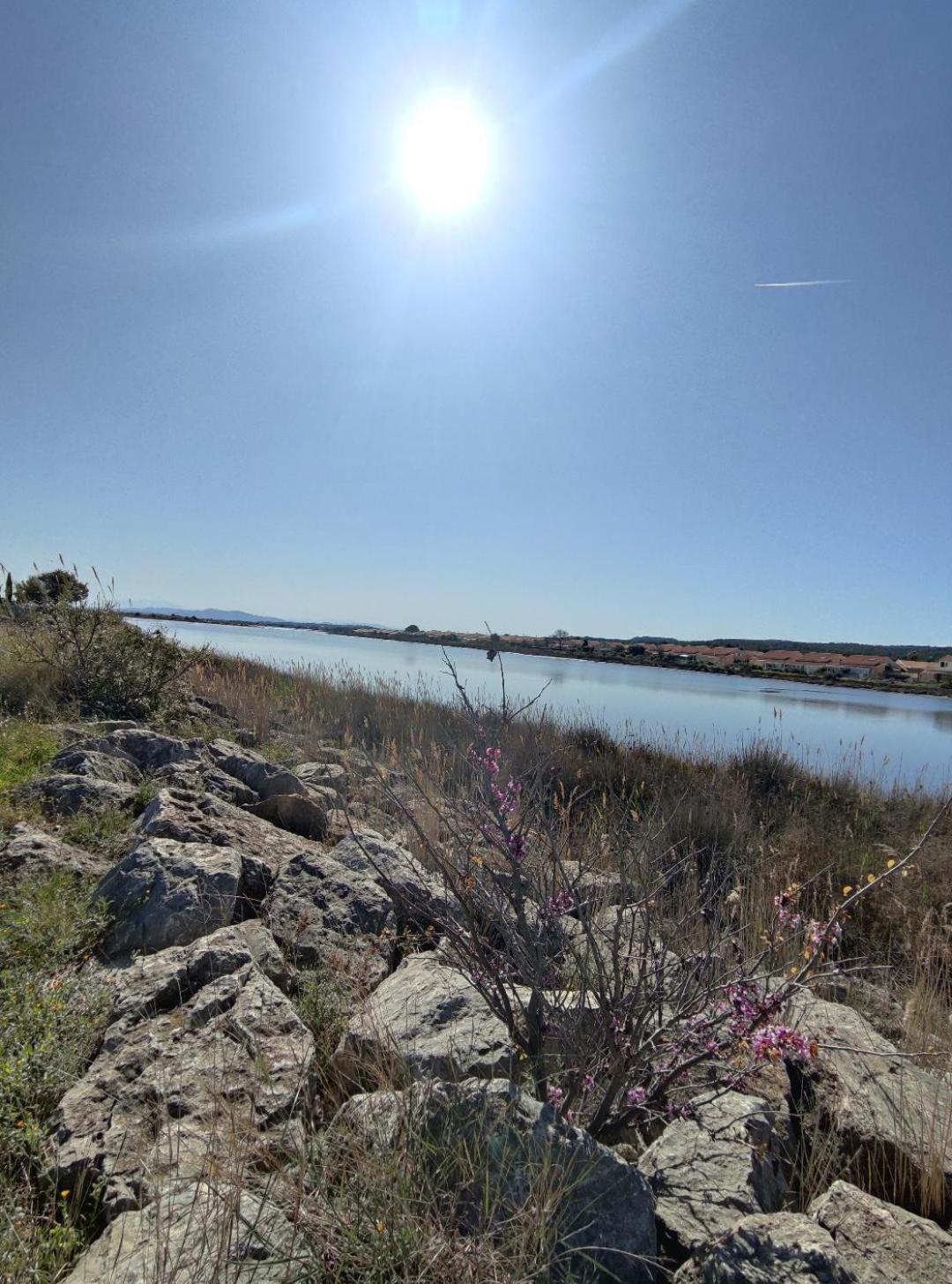 Holiday home Les Pieds Dans L'eau Aux Mers Du Sud - Les Ayguades *